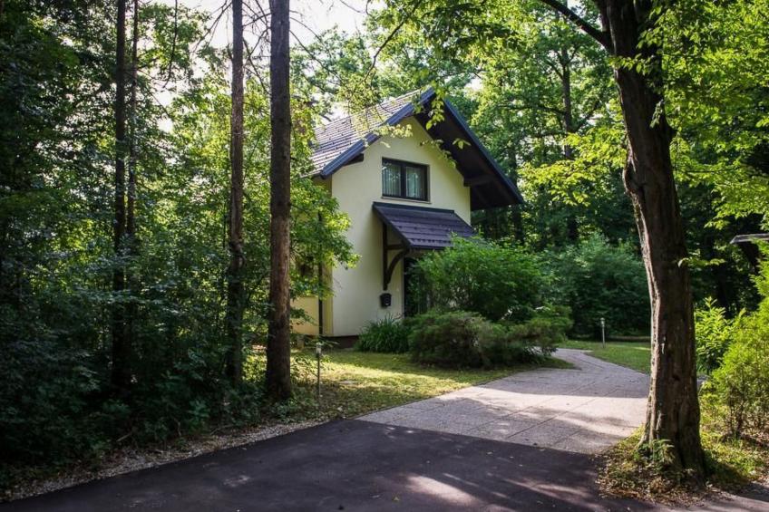 Kleines Haus am Rande des Waldes - foto 4