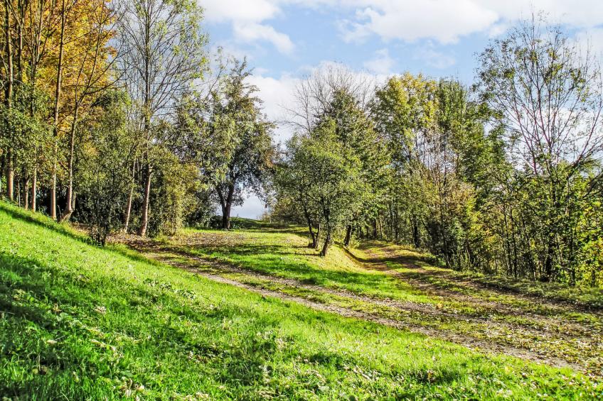 Green Valley Park Stárkov 21 - foto 15