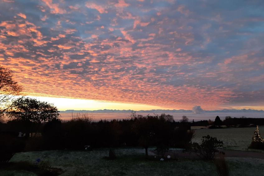 Gustis Hüsli - Alpensicht & Natur pur - foto 56
