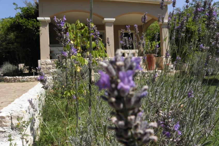 Am Fluss gelegenes Haus mit Galerieschlafplätzen - foto 7