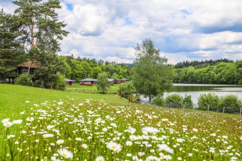 Le Domaine des Monédières C36V - foto 30