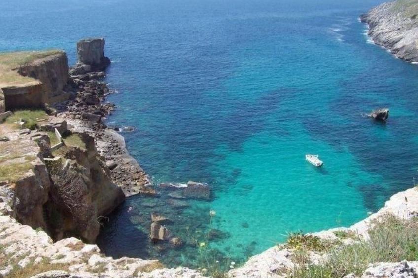 Girasoli in Tricase Porto - foto 24