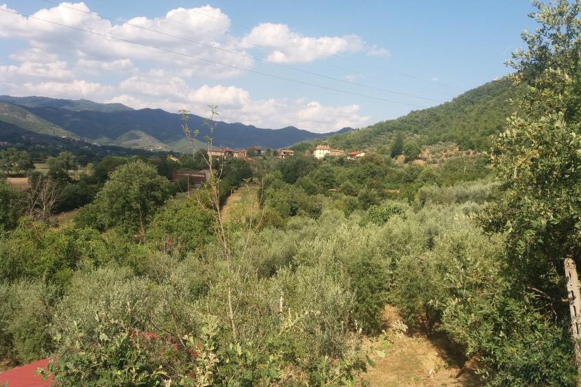 Burone - foto 27