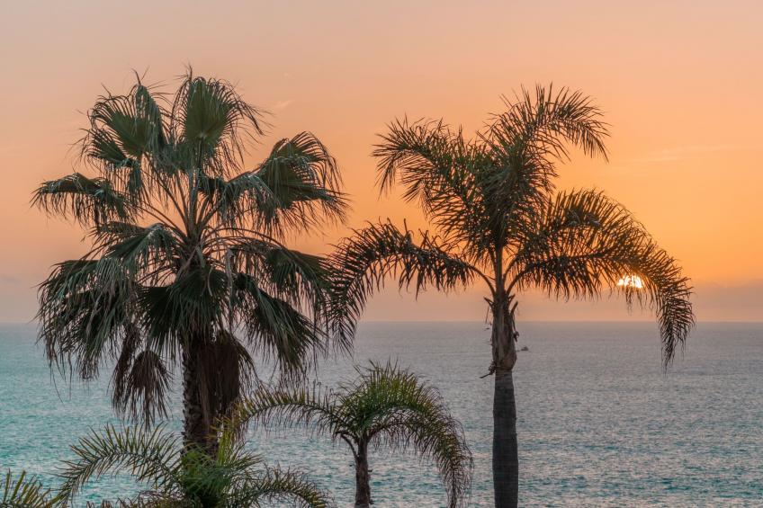 Wohnung "Madeira Palace Erste Linie" - foto 34