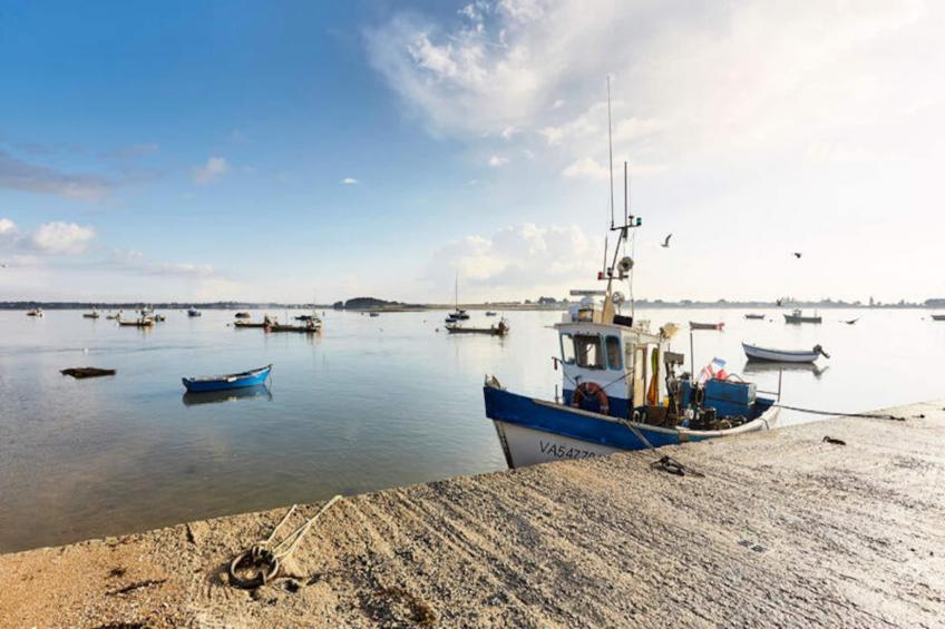 Maison à Le Tour du Parc - foto 18