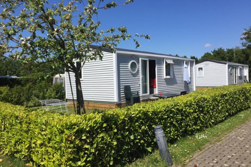 Mobilheim O'Hara 6p camping Scheldeoord Baarland - foto 12