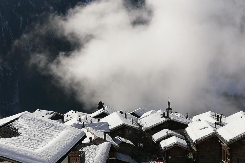 Chalet 3 Zi. in ruhiger Lage, in der Nähe von Verbier - foto 21