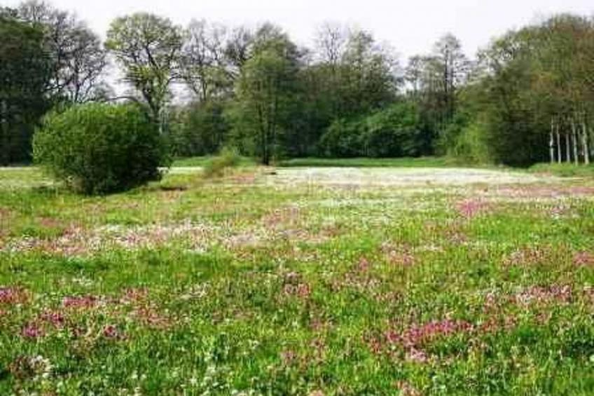 't Anderhoes - foto 17