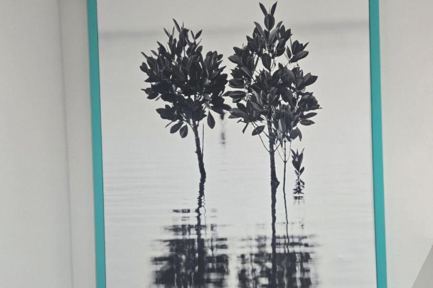 Wohnung "La Residence Apt23" - foto 33