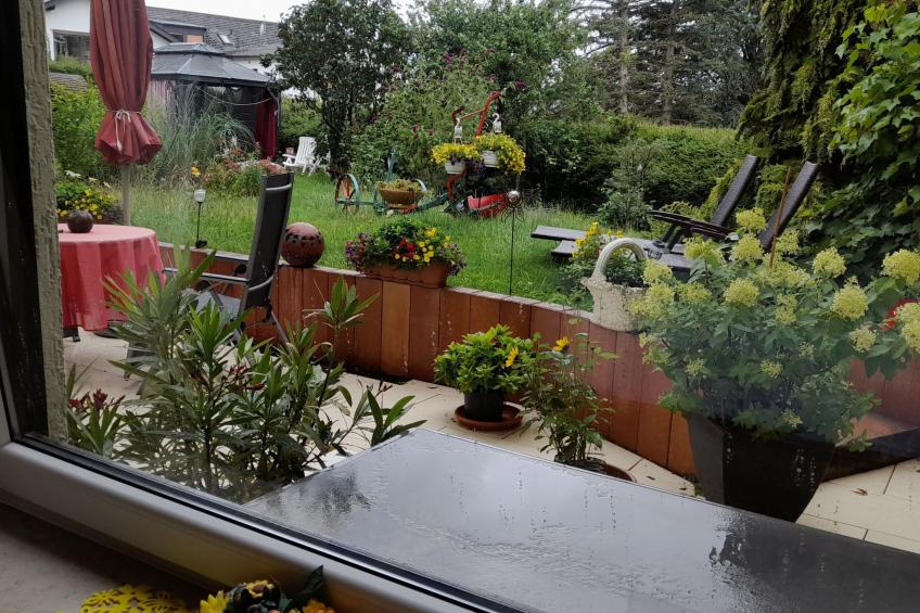 FeWo Sonnenblume - foto 9