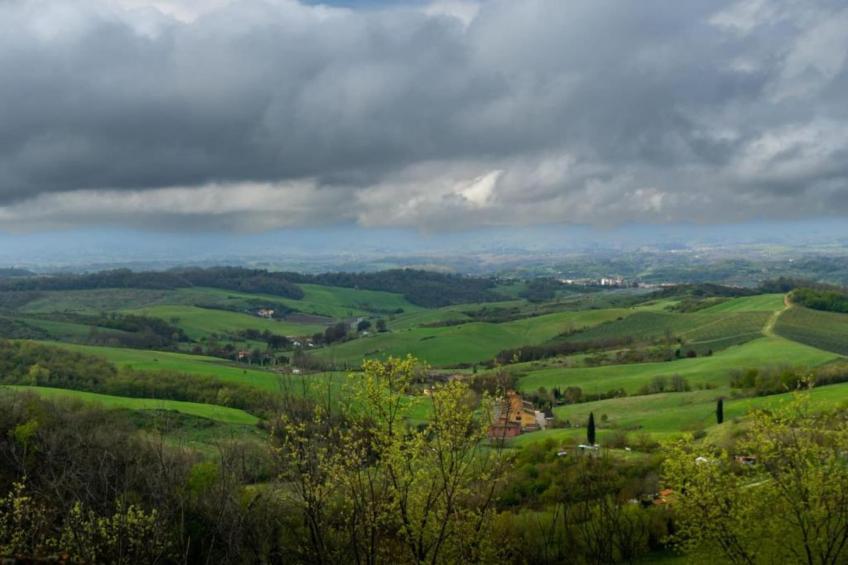 Podere Pulicciano Cantina - foto 29