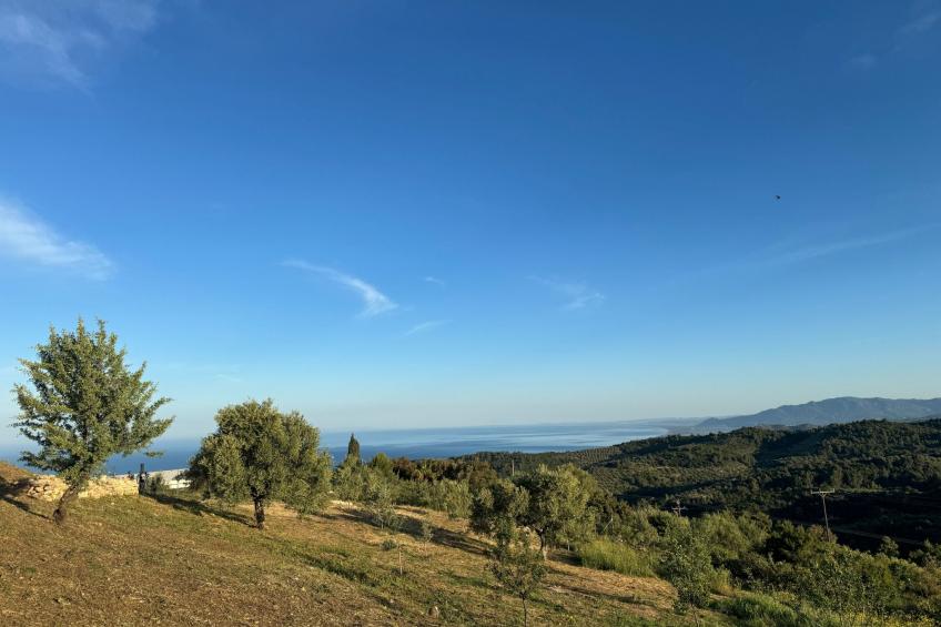 Villa Horizon - foto 10