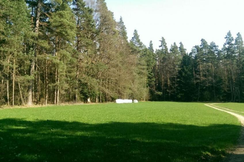 Wohnung mit Terrasse, Grill und Garten - foto 15