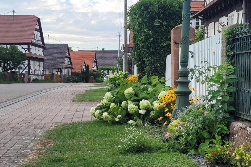 Maison de vacances - SCHLEITHAL - foto 38