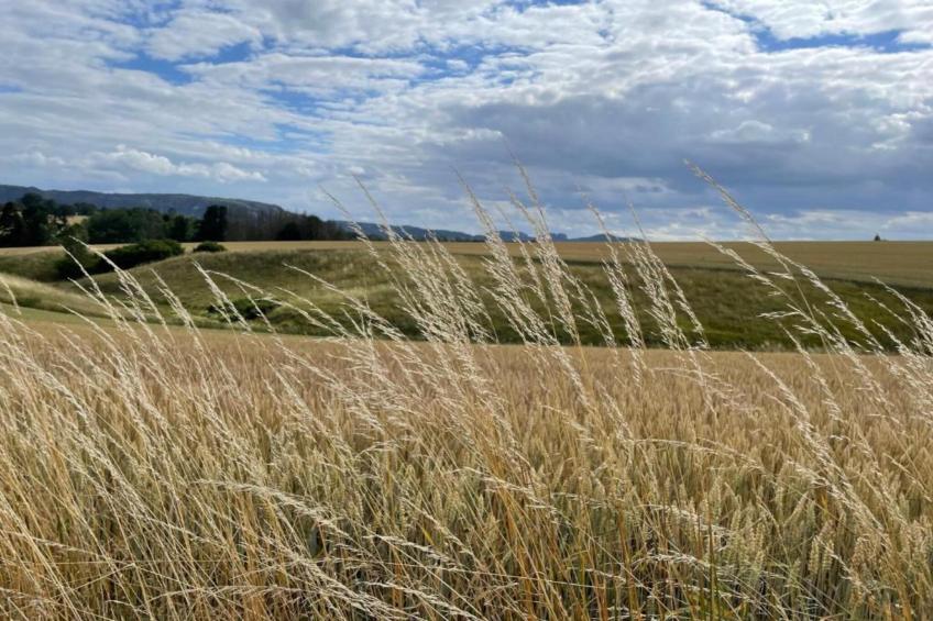 Ferienhaus Panoramablick - foto 36