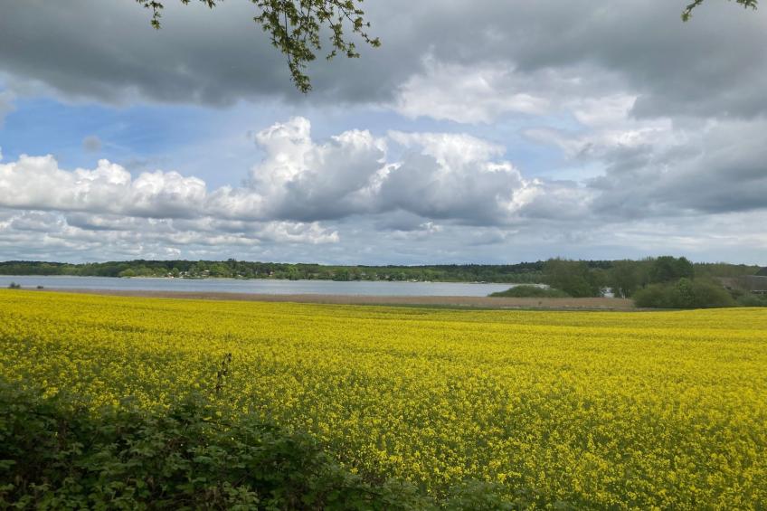 in Klingberg mit Seeblick - foto 38