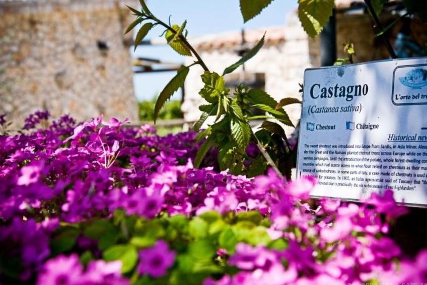 Trullo degli Archi, Entspannung und Essen und Wein - foto 27