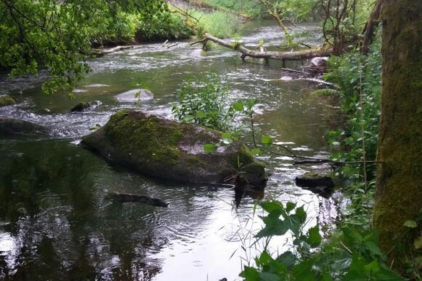 FeWo Stodlwerk - foto 42