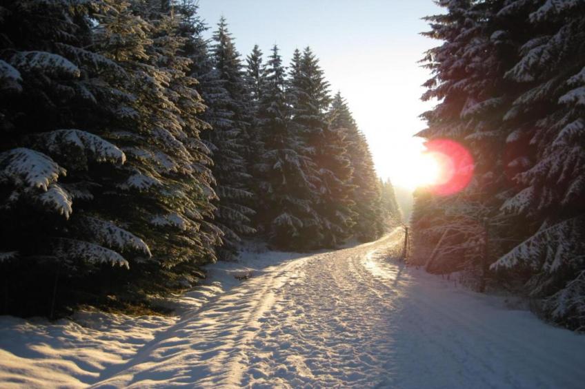 Rittersgrün - foto 26