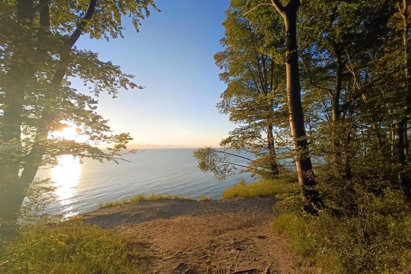 Seepark Sellin Ferienwohnungen, Sellin - Typ B - foto 19