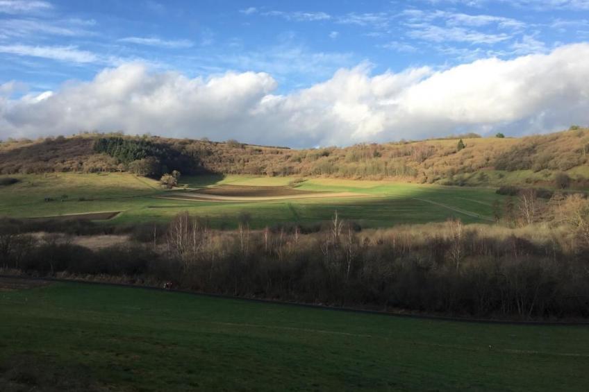 Helle Ferienwohnung in Mehren mit Eigenem Garten - foto 9