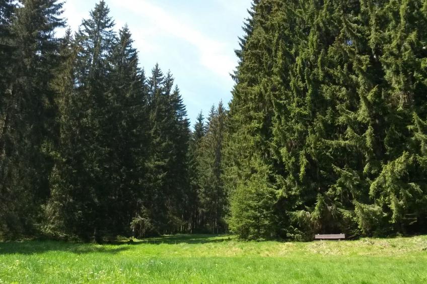 für 6 Personen im Thüringer Wald - foto 5