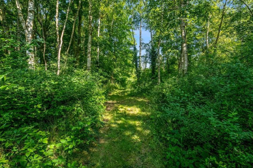 "Patrice" - 300m from the sea - foto 3