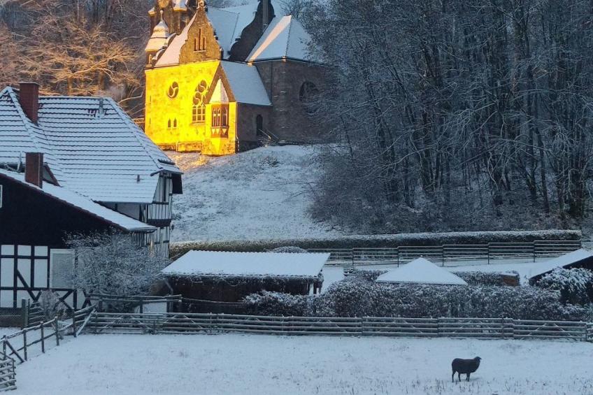 in Holzhausen mit Grill und Terrasse - foto 22