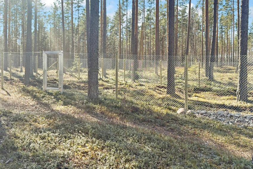 Kukkalahti - foto 39