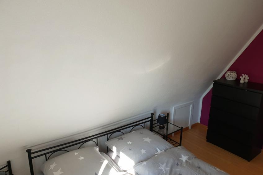 Erholung pur: Nordsee-Urlaub mit Hund - foto 29