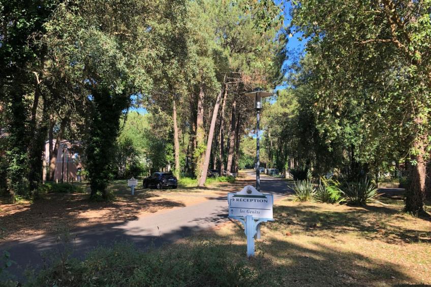 Schönes Appartment in ruhiger Lage in einer baumbestandenen Residenz mit beheiz - foto 18