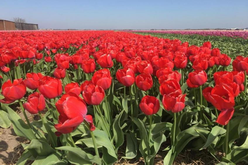 Strandslag 193 - foto 30