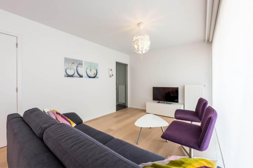 De Dijk vierde - foto 8