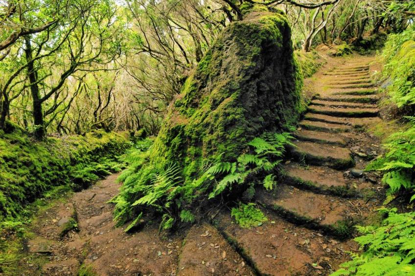 Bioklimatisches Haus auf Teneriffa - Natur - Entspannung - foto 38