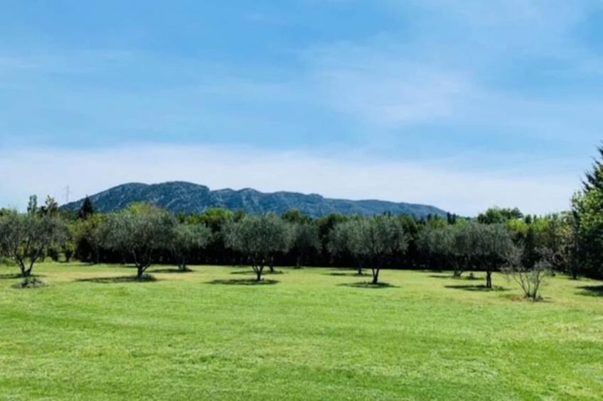 Maison Avec Piscine Et Vue Imprenable Sur Le Luberon - foto 24