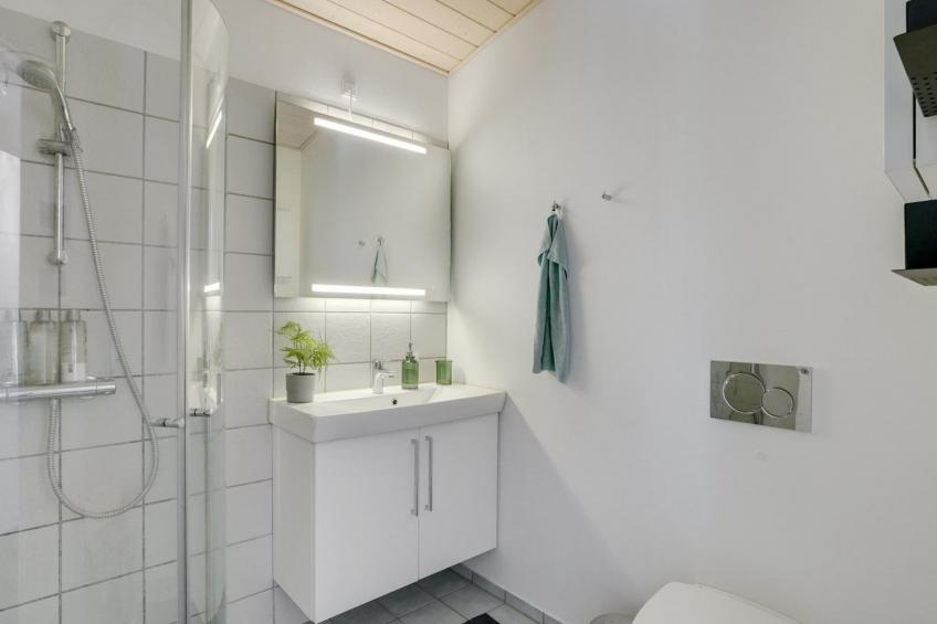 "Self" - 400m to the inlet in The Liim Fiord - foto 26