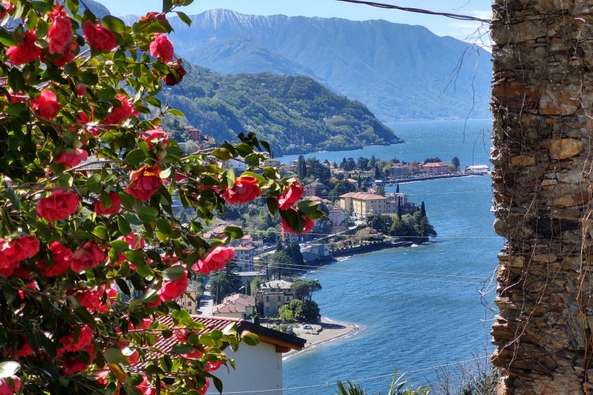 Oro del Lario - foto 3