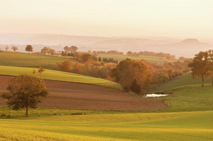 La Charmante - foto 36