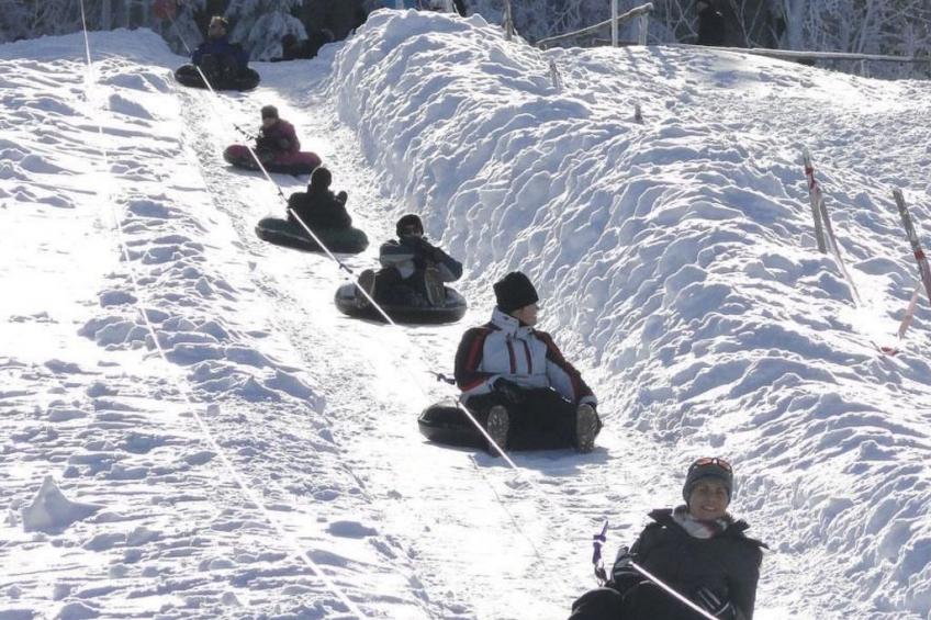 Wiesengrund - foto 15