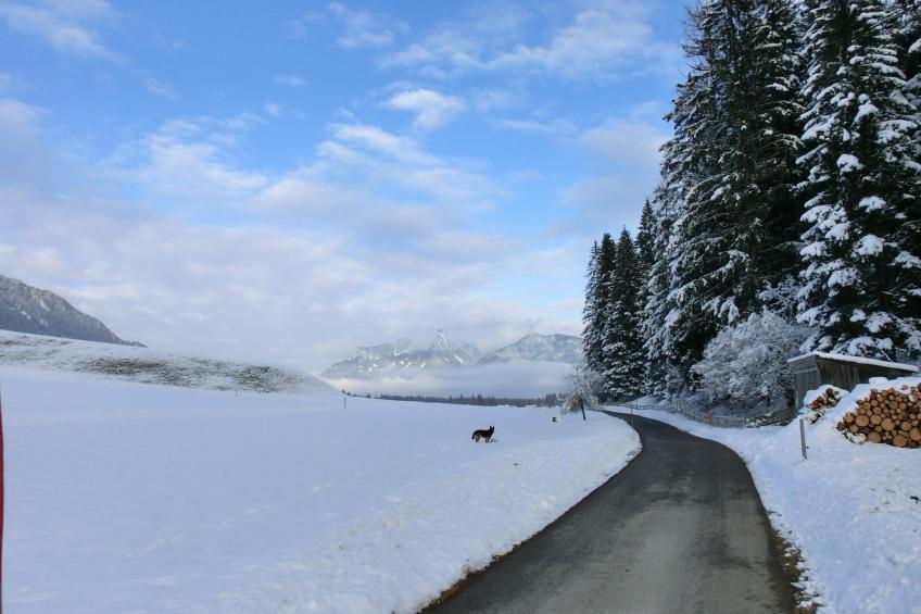 Alpenhof Sonne - foto 31