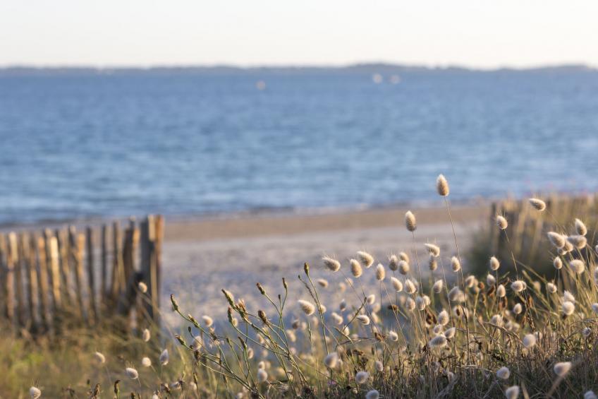 Port An Dro - foto 19