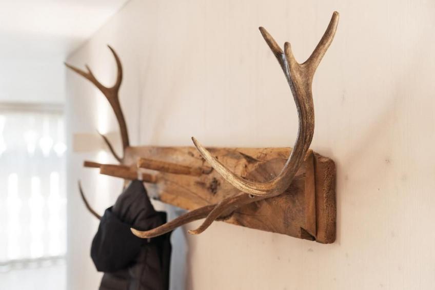 Bellezza - Bio Bergün - foto 12