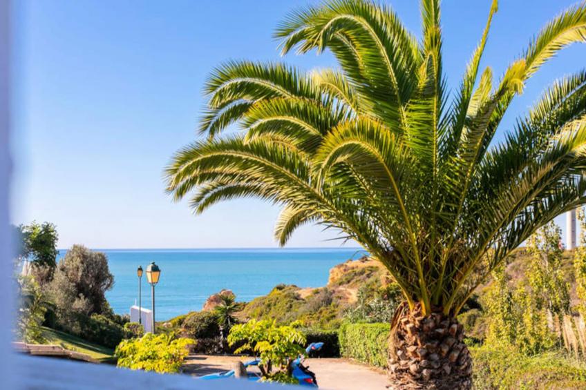 Casa Jaime - foto 45