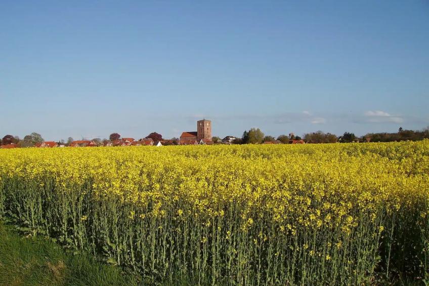 Komfortabler und entspannender Urlaub in Marienhafe - foto 28