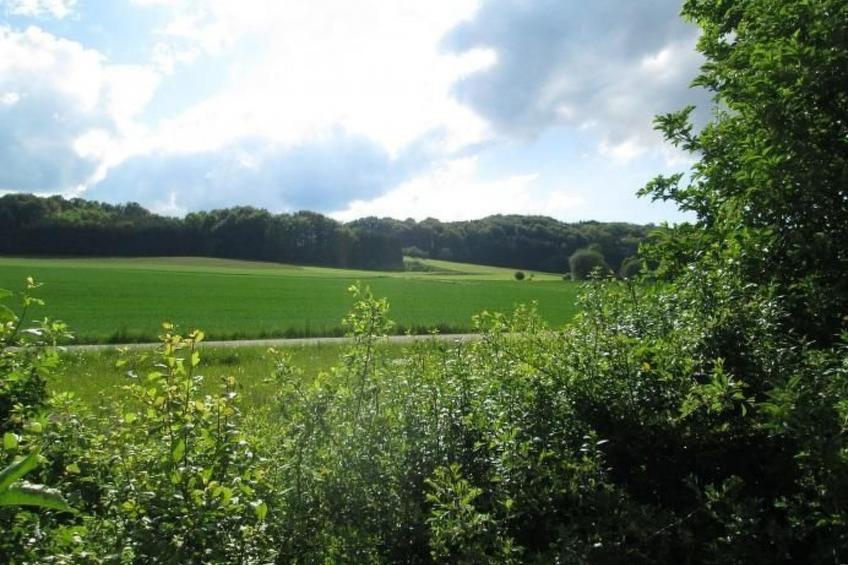 Wunderschönes Ferienhaus in Zainingen - foto 19