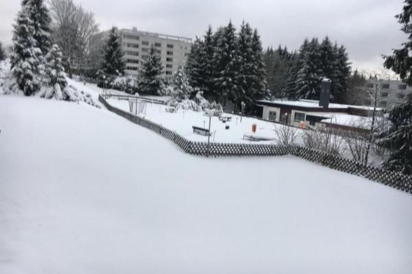 Feriendomizil Adler - foto 43