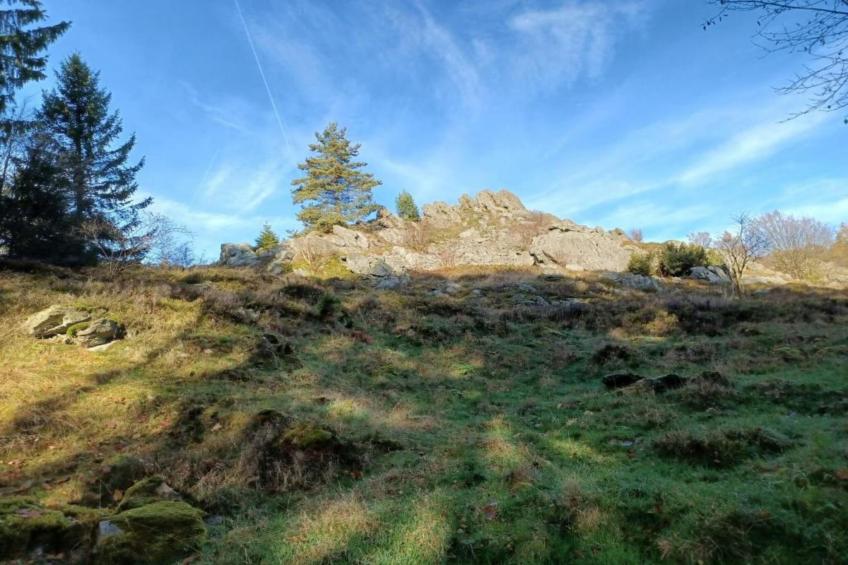 Urlaub auf dem Bauernhof - foto 34