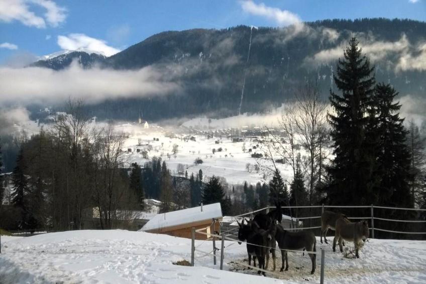 Chalet Verrel - boven - foto 33