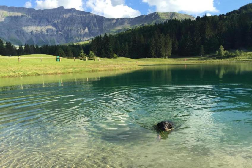 Les Portes de Megève 5 - foto 28