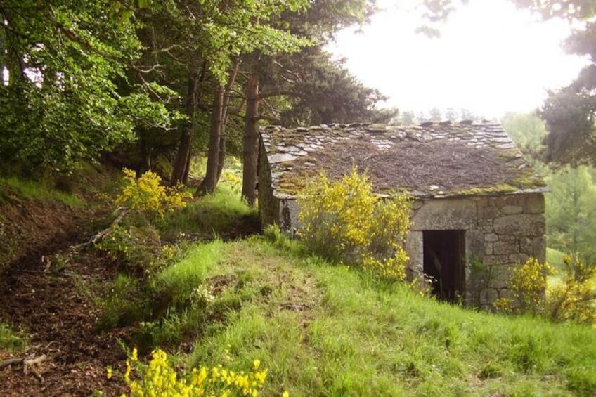 Gîte de France Gîte bienvenue à couffinet 3 épis - foto 23
